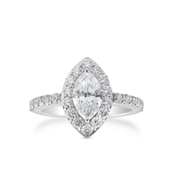 Marquise