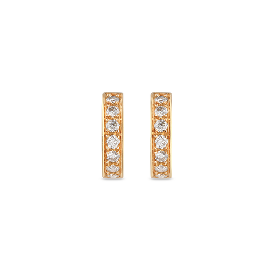 GH Earrings