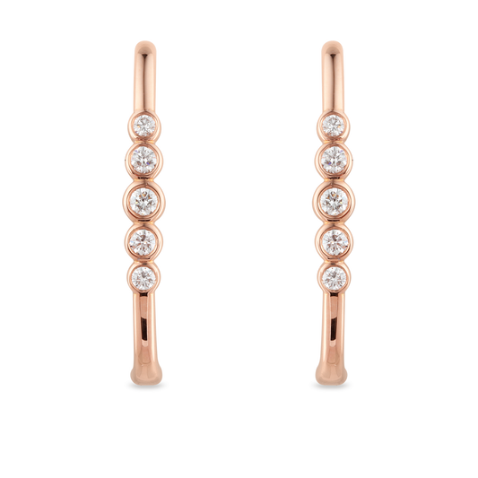 GH Earrings